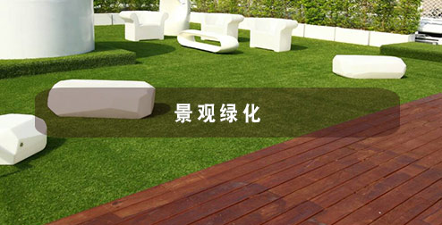 屋頂綠化景觀