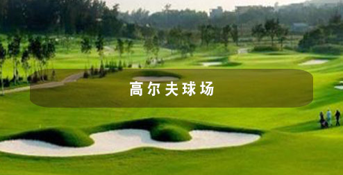 高檔休閑景觀